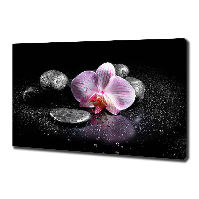 Canvas wall art Orchid