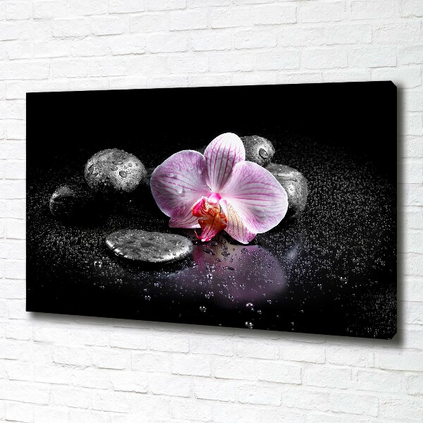 Canvas wall art Orchid