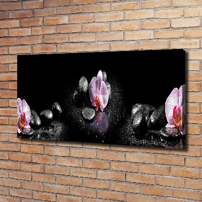 Canvas wall art Orchid