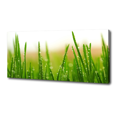 Canvas wall art Grass