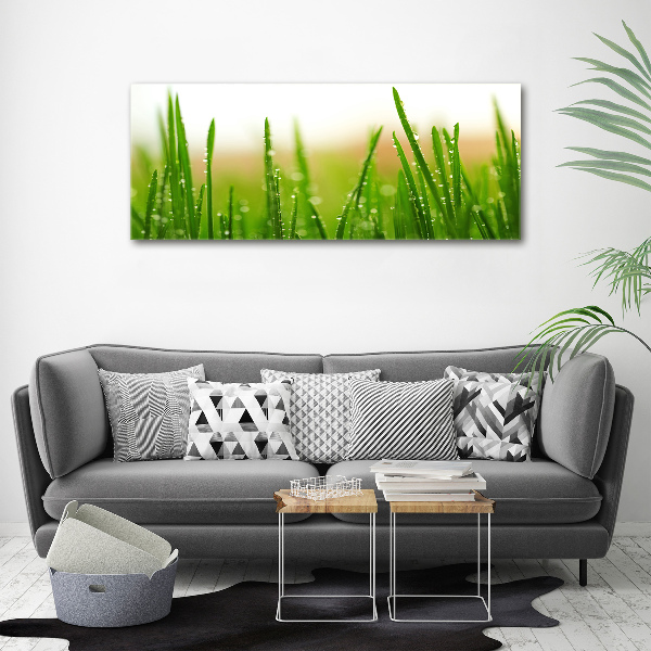 Canvas wall art Grass