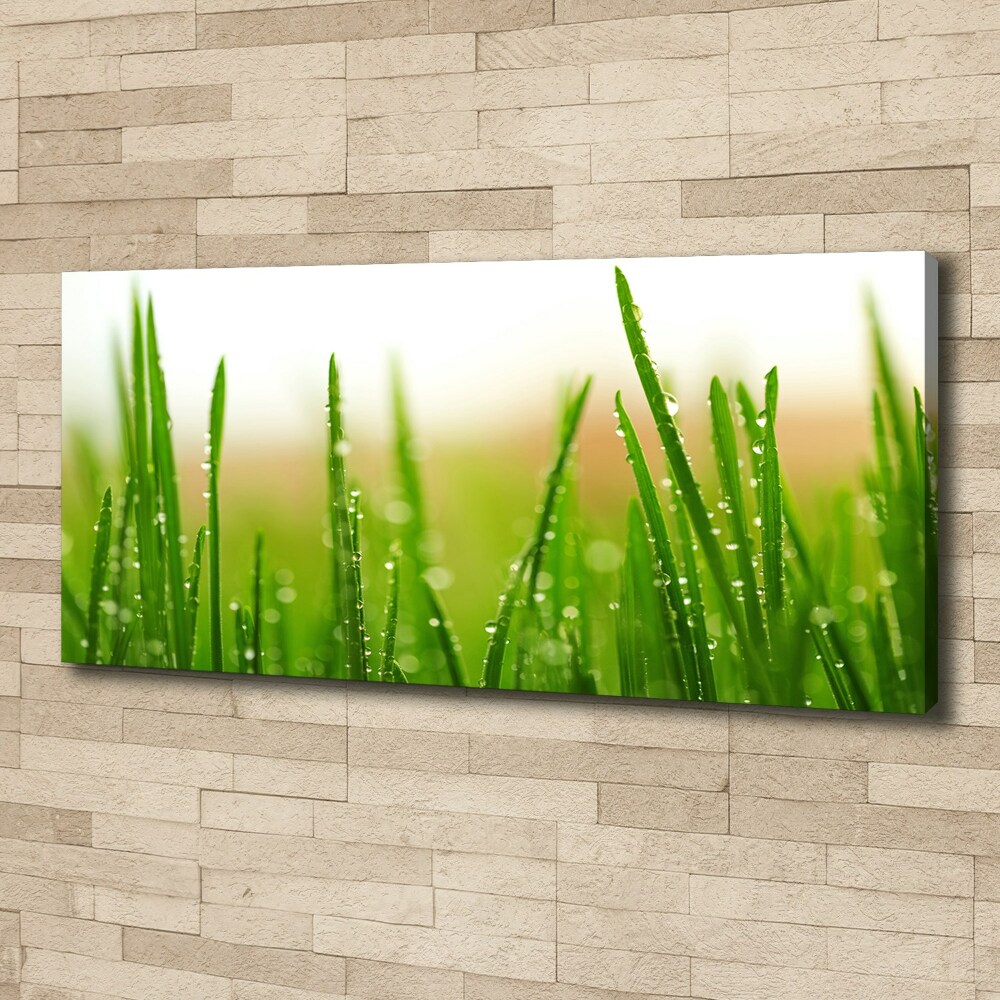 Canvas wall art Grass