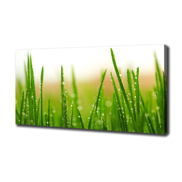 Canvas wall art Grass