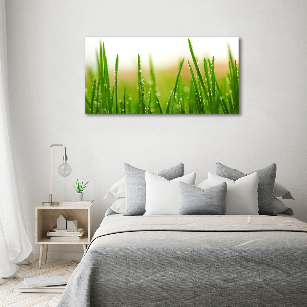 Canvas wall art Grass