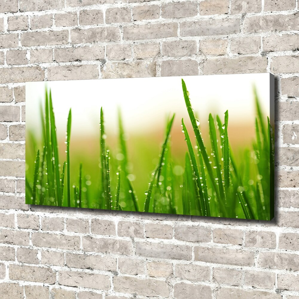 Canvas wall art Grass