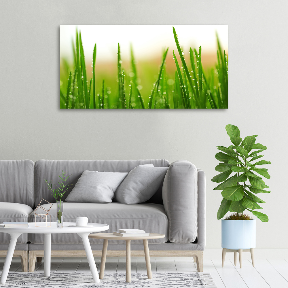 Canvas wall art Grass