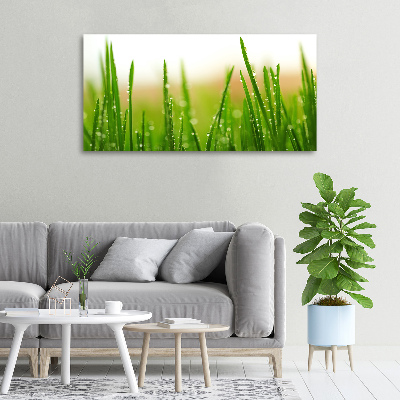 Canvas wall art Grass