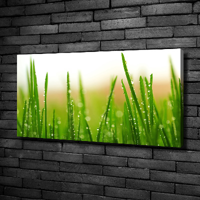 Canvas wall art Grass