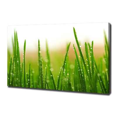 Canvas wall art Grass