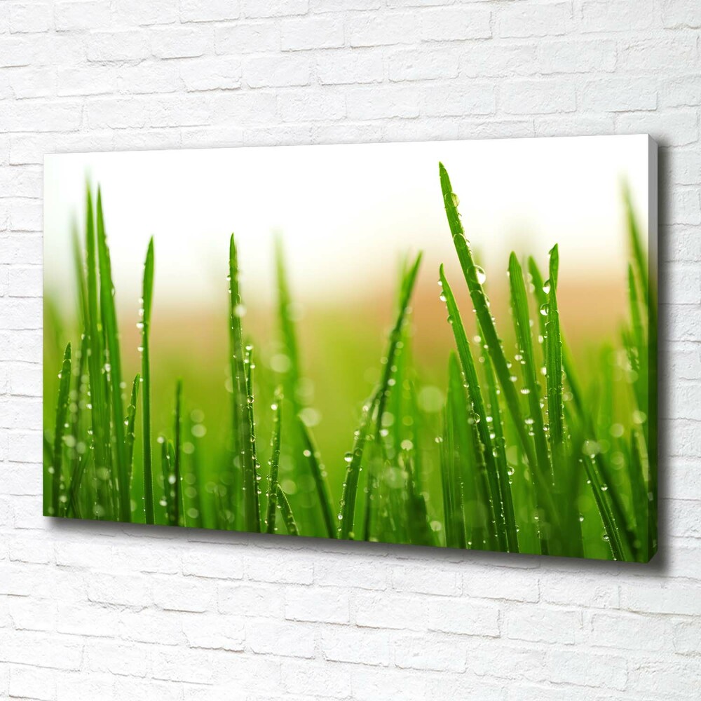 Canvas wall art Grass