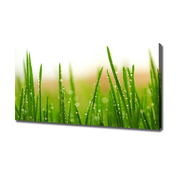 Canvas wall art Grass