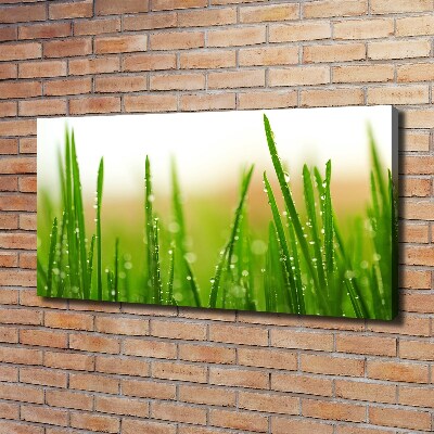 Canvas wall art Grass