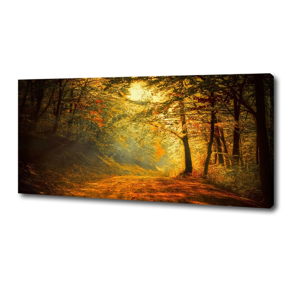 Canvas wall art Forest in autumn