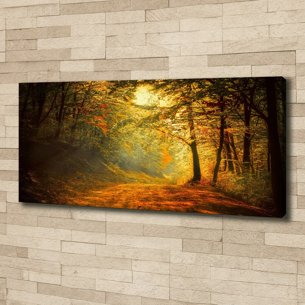 Canvas wall art Forest in autumn