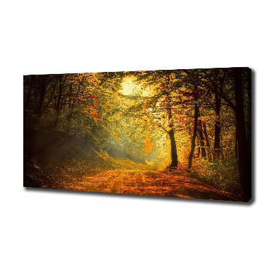 Canvas wall art Forest in autumn