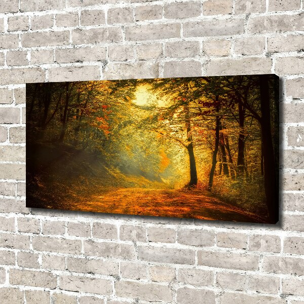 Canvas wall art Forest in autumn