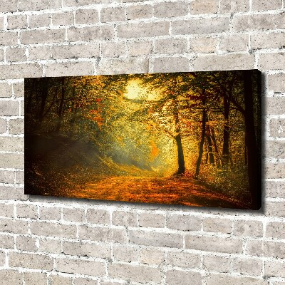 Canvas wall art Forest in autumn