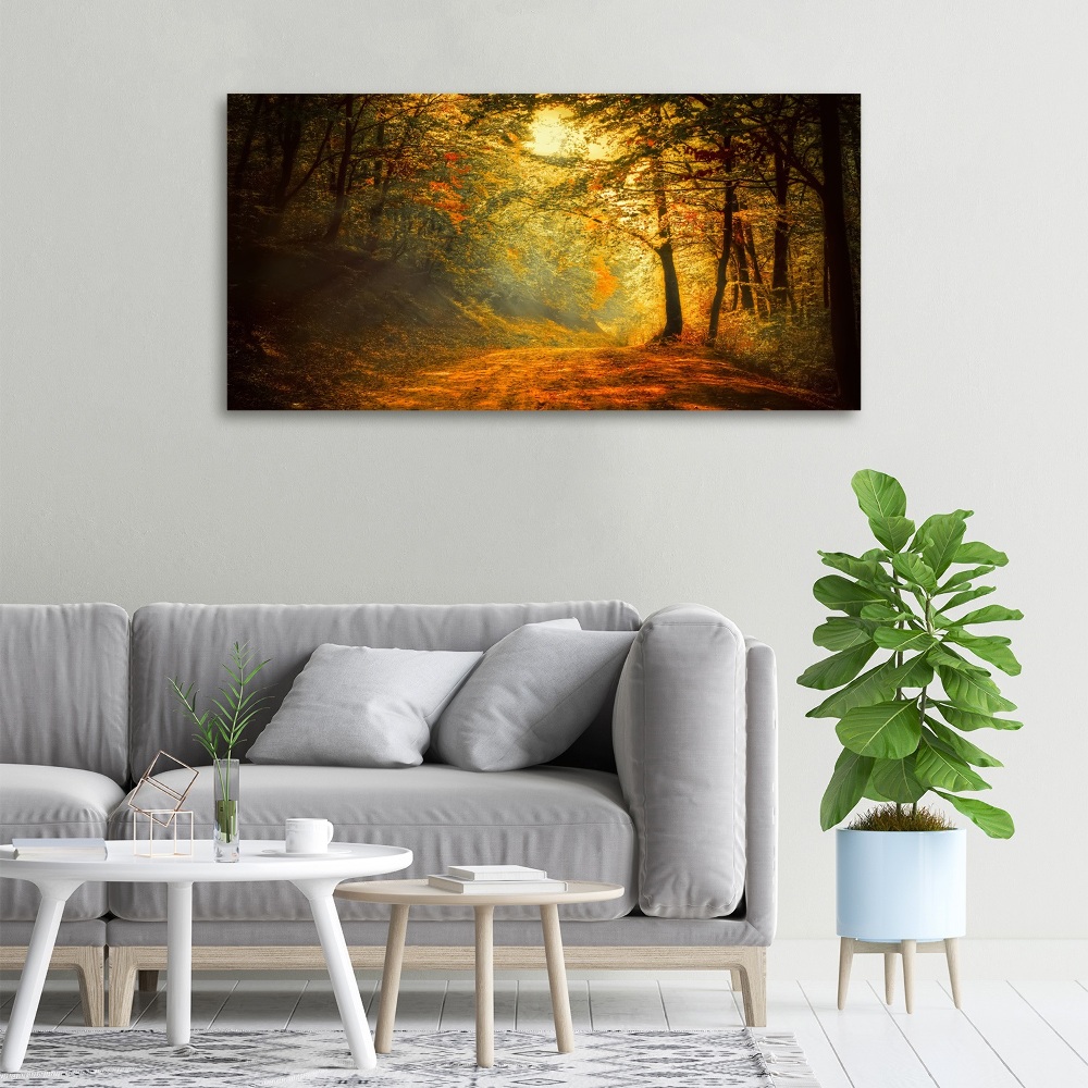 Canvas wall art Forest in autumn