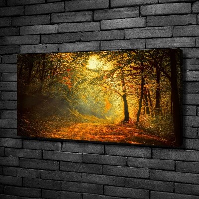 Canvas wall art Forest in autumn