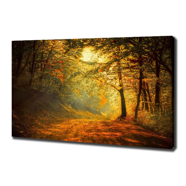 Canvas wall art Forest in autumn