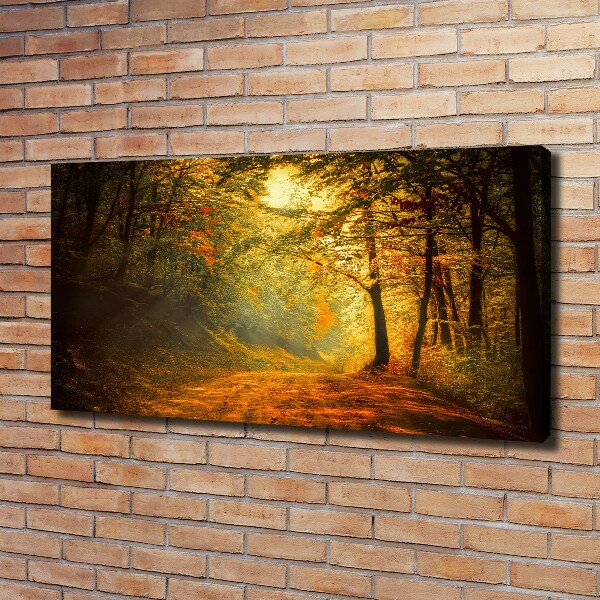 Canvas wall art Forest in autumn