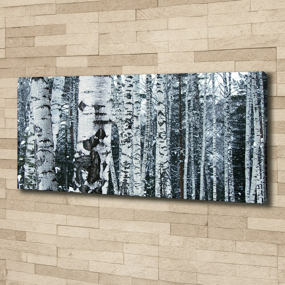 Canvas wall art Birch trees