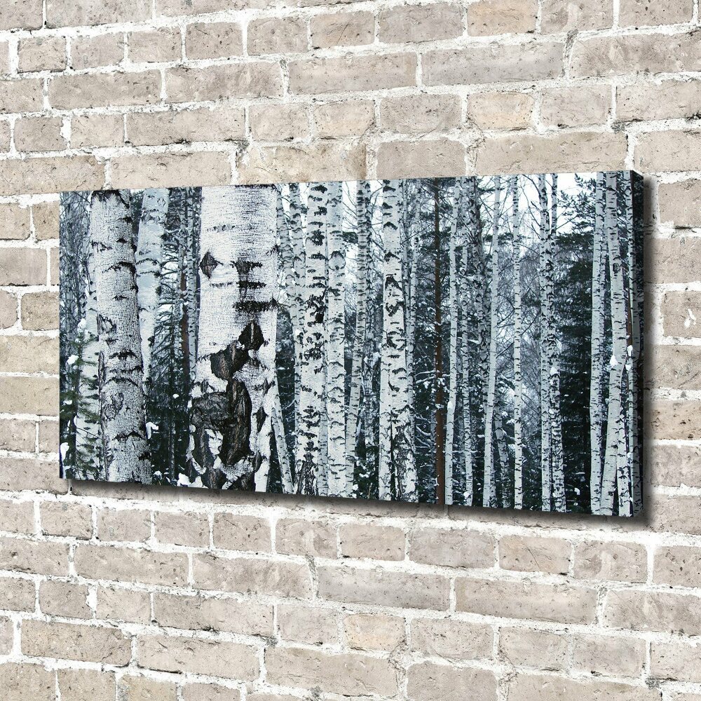 Canvas wall art Birch trees