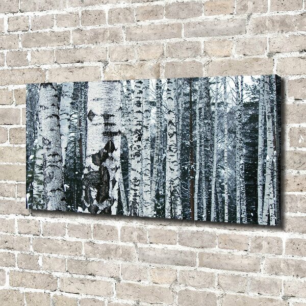 Canvas wall art Birch trees