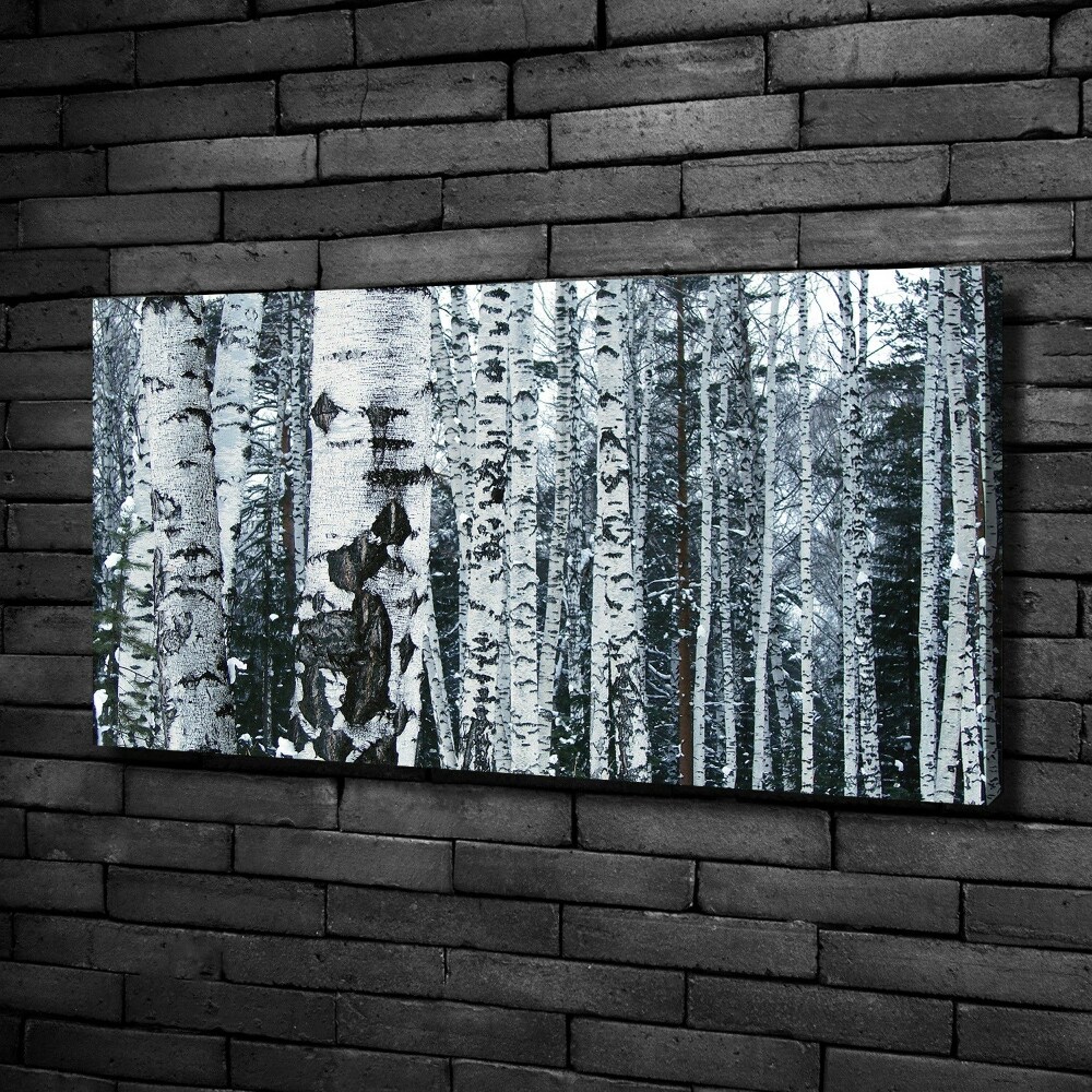 Canvas wall art Birch trees