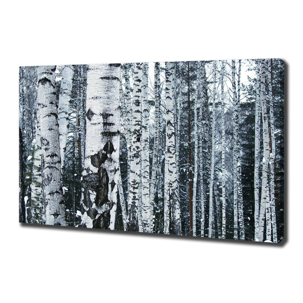 Canvas wall art Birch trees