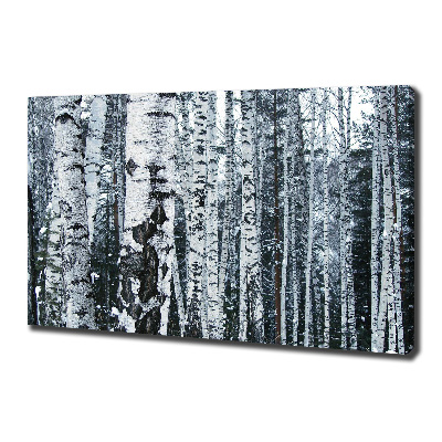 Canvas wall art Birch trees