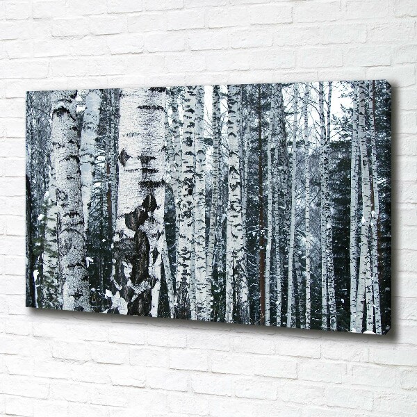 Canvas wall art Birch trees