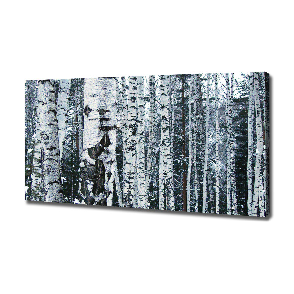 Canvas wall art Birch trees