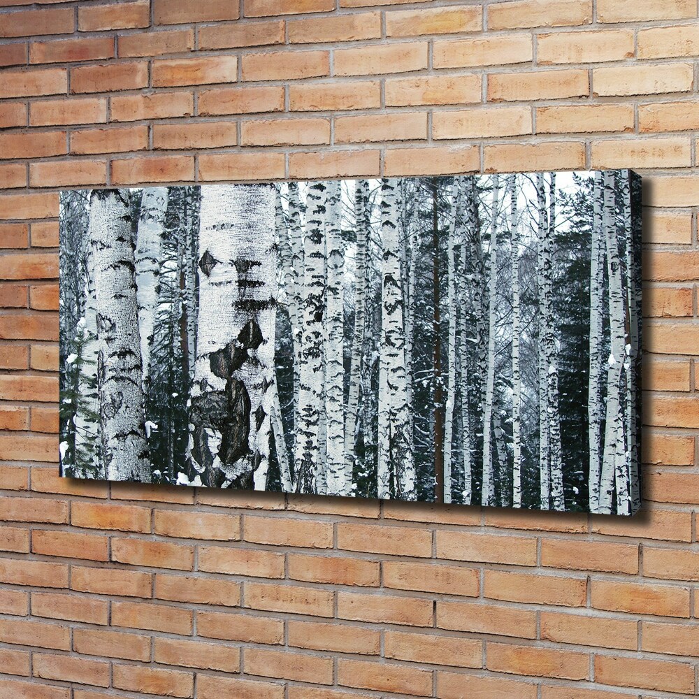 Canvas wall art Birch trees