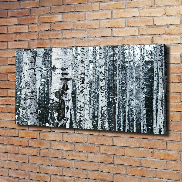 Canvas wall art Birch trees