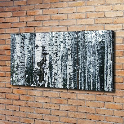 Canvas wall art Birch trees