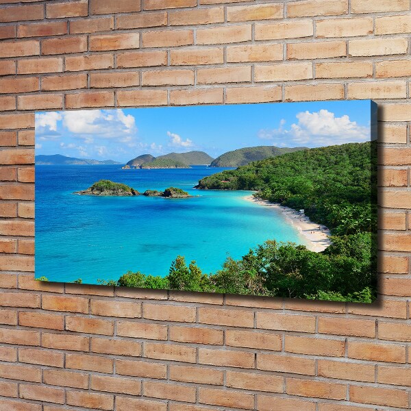 Canvas wall art Virgin Islands