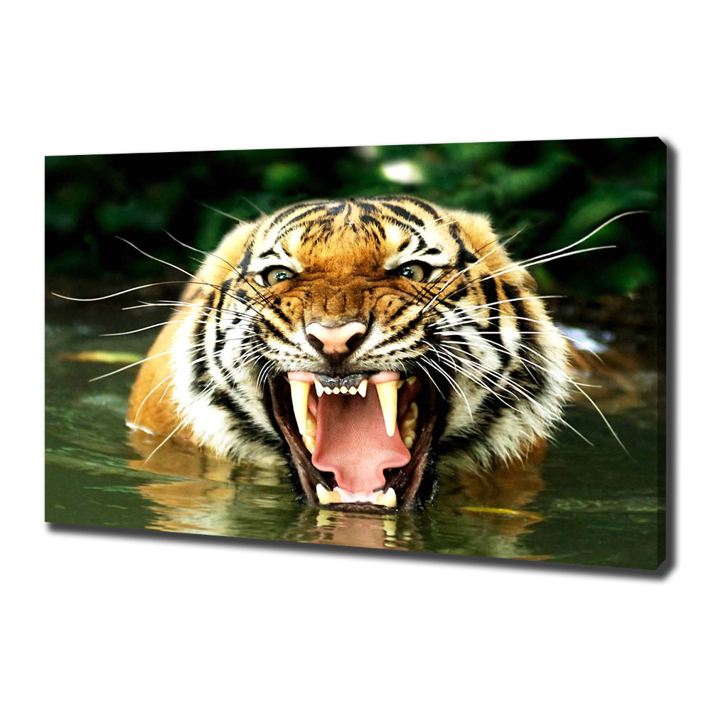 Large canvas wall art Roaring tiger