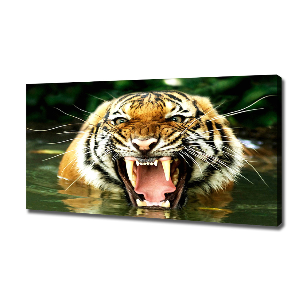 Large canvas wall art Roaring tiger