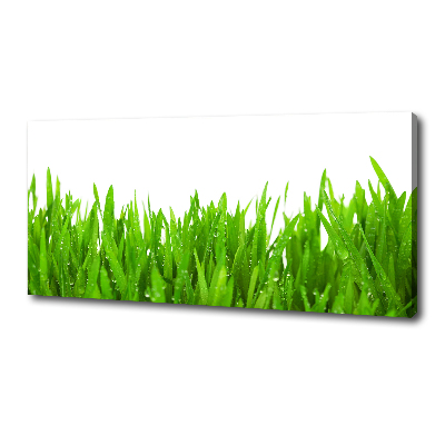 Canvas wall art Grass