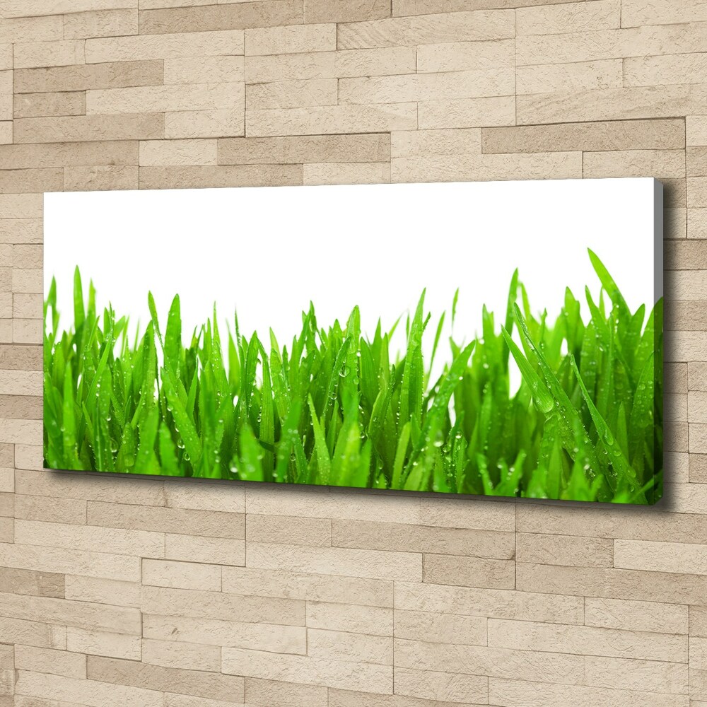 Canvas wall art Grass