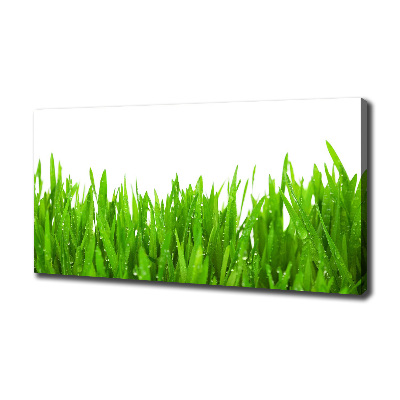 Canvas wall art Grass