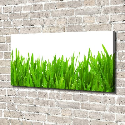 Canvas wall art Grass