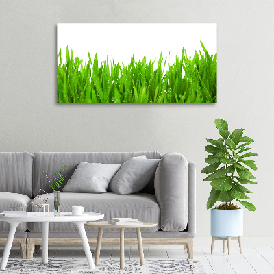 Canvas wall art Grass