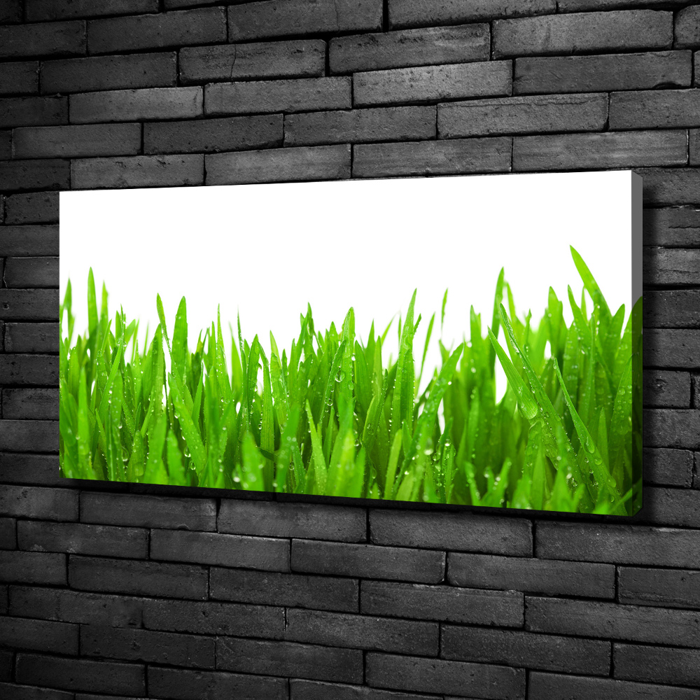 Canvas wall art Grass