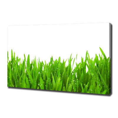 Canvas wall art Grass