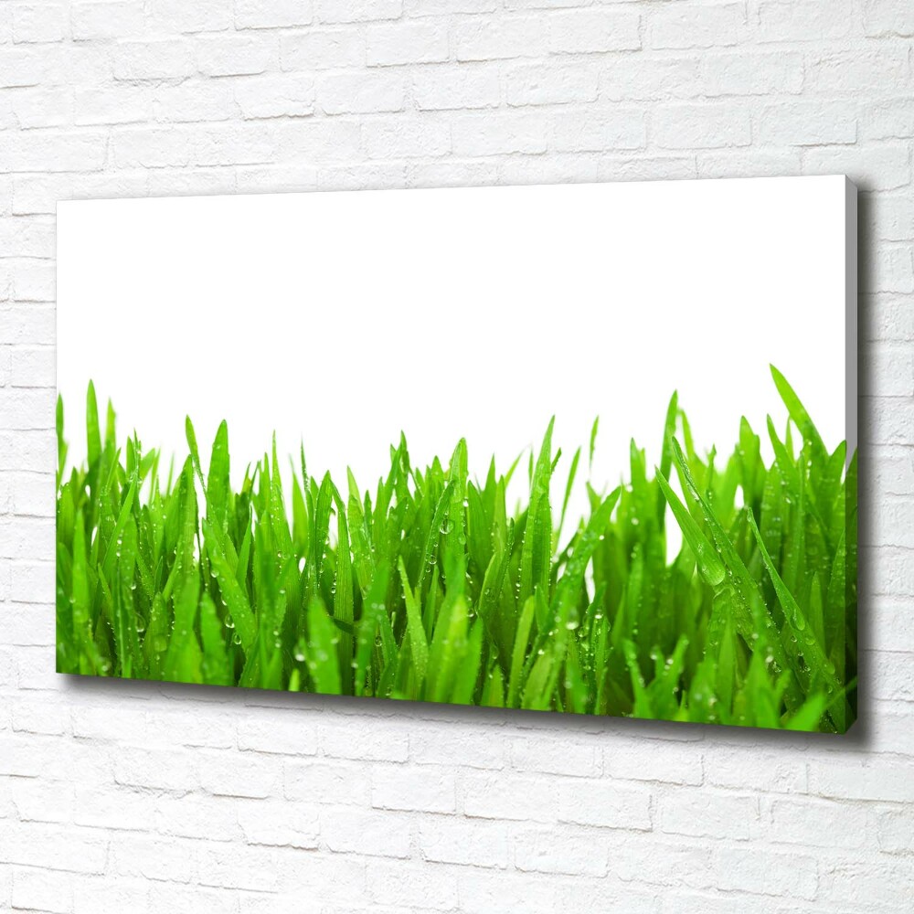 Canvas wall art Grass