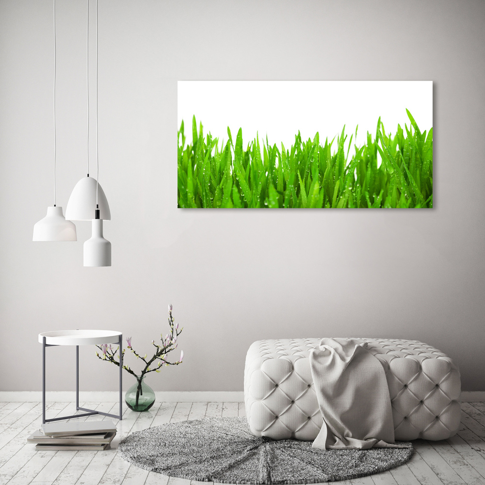 Canvas wall art Grass