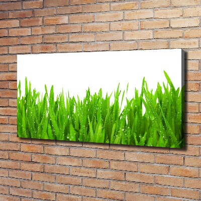 Canvas wall art Grass