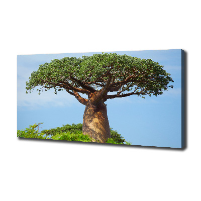 Canvas wall art Baobab